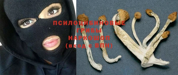 дурь Алексеевка
