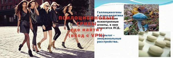 бошки Алексин