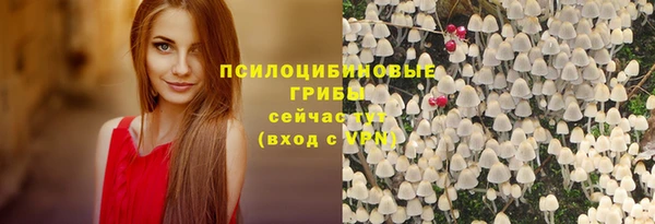 дурь Алексеевка