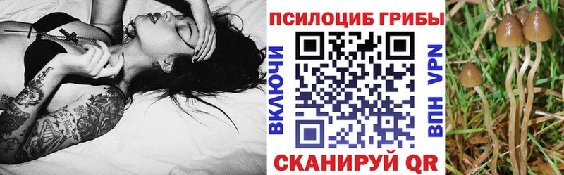 цены   Фокино  Галлюциногенные грибы мицелий 